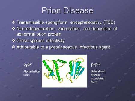 Prion Disease Transmissible spongiform encephalopathy (TSE)