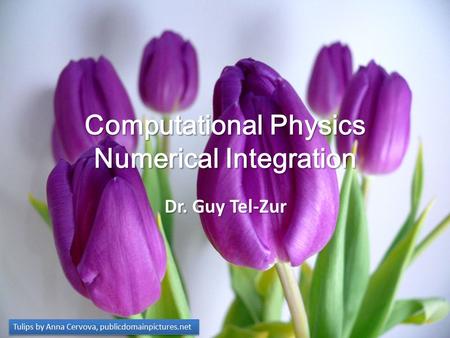 Computational Physics Numerical Integration Dr. Guy Tel-Zur Tulips by Anna Cervova, publicdomainpictures.net.