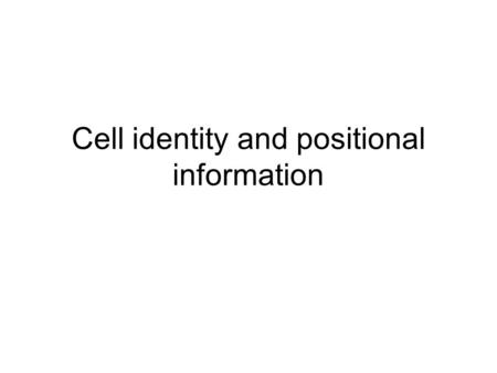 Cell identity and positional information. How does a neuron find its target?