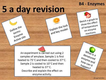 5 a day revision B4 - Enzymes Explain the lock and key model.