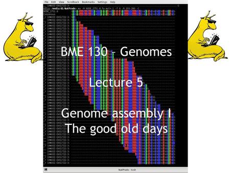 BME 130 – Genomes Lecture 5 Genome assembly I The good old days.
