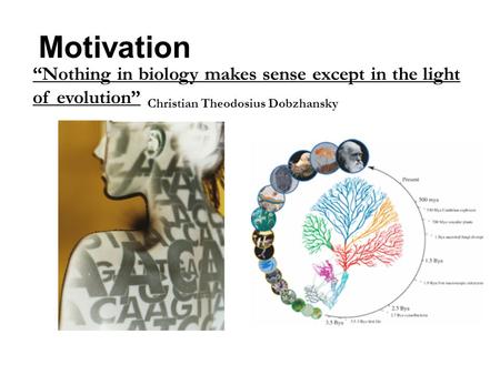 Motivation “Nothing in biology makes sense except in the light of evolution” Christian Theodosius Dobzhansky.