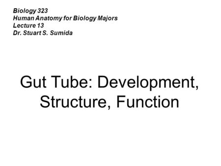 Biology 323 Human Anatomy for Biology Majors Lecture 13 Dr. Stuart S. Sumida Gut Tube: Development, Structure, Function.