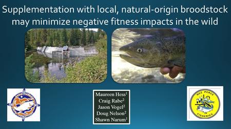 Supplementation with local, natural-origin broodstock may minimize negative fitness impacts in the wild Initial results of this study were published in.