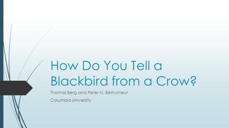 How Do You Tell a Blackbird from a Crow? Thomas Berg and Peter N. Belhumeur Columbia University.