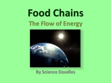 Food Chains The Flow of Energy