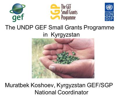 The UNDP GEF Small Grants Programme in Kyrgyzstan Muratbek Koshoev, Kyrgyzstan GEF/SGP National Coordinator.