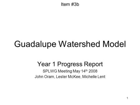 1 Guadalupe Watershed Model Year 1 Progress Report SPLWG Meeting May 14 th 2008 John Oram, Lester McKee, Michelle Lent Item #3b.