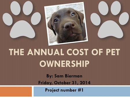 THE ANNUAL COST OF PET OWNERSHIP By: Sam Bierman Friday, October 31, 2014 Project number #1.