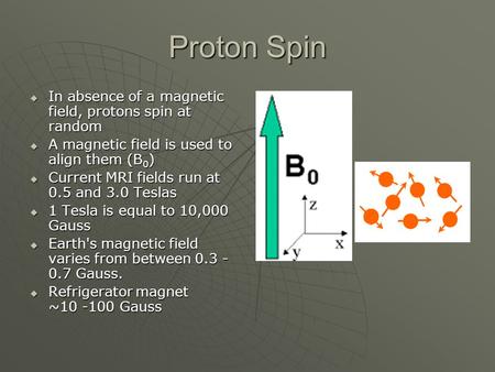 Proton Spin In absence of a magnetic field, protons spin at random