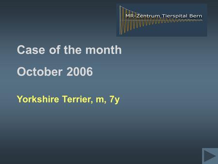 Case of the month October 2006 Yorkshire Terrier, m, 7y.