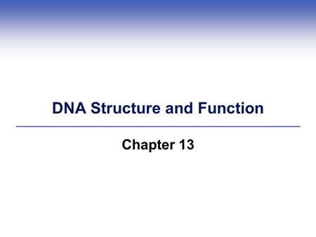 DNA Structure and Function