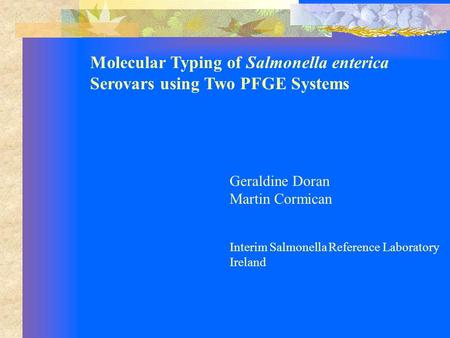 Molecular Typing of Salmonella enterica Serovars using Two PFGE Systems Geraldine Doran Martin Cormican Interim Salmonella Reference Laboratory Ireland.