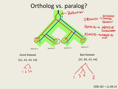 Ortholog vs. paralog? 1. Collect Sequence Data Good Dataset