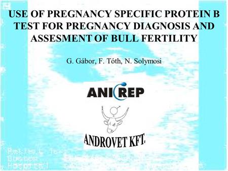 USE OF PREGNANCY SPECIFIC PROTEIN B TEST FOR PREGNANCY DIAGNOSIS AND ASSESMENT OF BULL FERTILITY G. Gábor, F. Tóth, N. Solymosi.