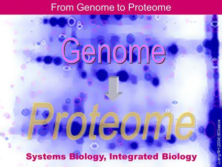 From Genome to Proteome Juang RH (2004) BCbasics Systems Biology, Integrated Biology.