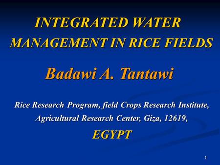 Badawi A. Tantawi INTEGRATED WATER MANAGEMENT IN RICE FIELDS EGYPT