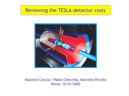 Reviewing the TESLA-detector costs Massimo Caccia + Paolo Checchia, Marcello Piccolo Roma, 10/XI/2005.