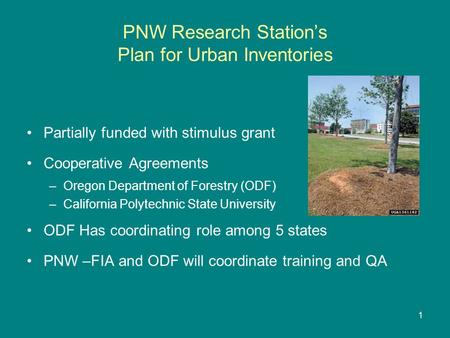 PNW Research Station’s Plan for Urban Inventories Partially funded with stimulus grant Cooperative Agreements –Oregon Department of Forestry (ODF) –California.