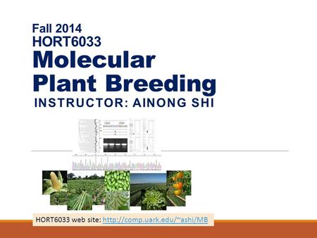 Fall 2014 HORT6033 Molecular Plant Breeding INSTRUCTOR: AINONG SHI HORT6033 web site: