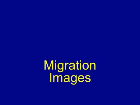 Migration Images.
