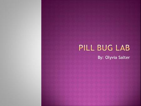 Pill Bug Lab By: Olyvia Salter.