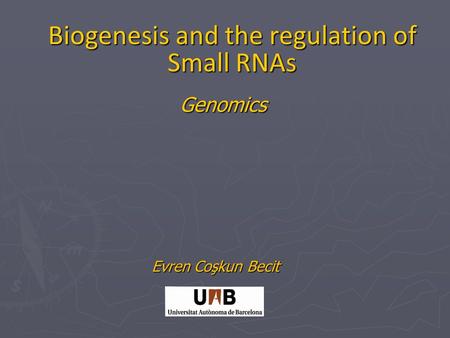 Biogenesis and the regulation of Small RNAs