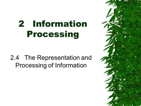 2 Information Processing