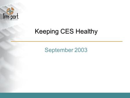 Keeping CES Healthy September 2003. CES Assessment Review the use of CES from the estimator’s perspective –A day and half on site at Florida, Minnesota,