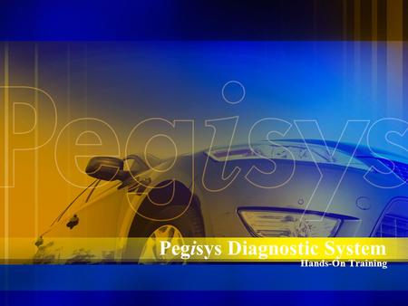 Pegisys Diagnostic System Hands-On Training