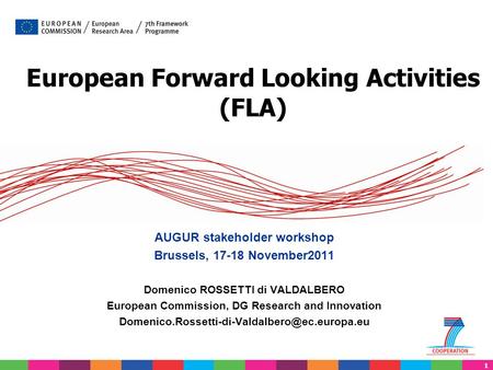 European Forward Looking Activities (FLA)