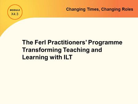 Changing Times, Changing Roles The Ferl Practitioners’ Programme Transforming Teaching and Learning with ILT X4.3.
