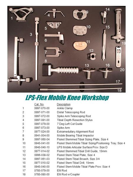 LPS-Flex Mobile Knee Workshop