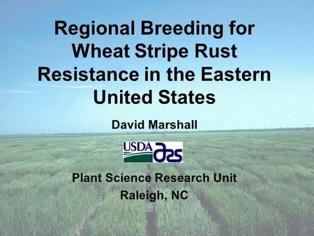 Regional Breeding for Wheat Stripe Rust Resistance in the Eastern United States David Marshall Plant Science Research Unit Raleigh, NC.