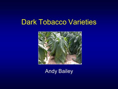 Dark Tobacco Varieties Andy Bailey. Dark Varieties Newer varieties: –Broader spectrum of disease resistance –More upright growth habit –Increased yield.