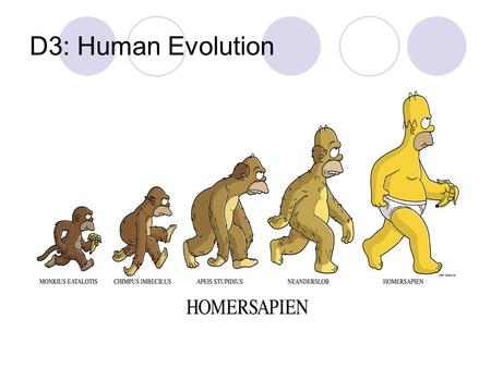 D3: Human Evolution.