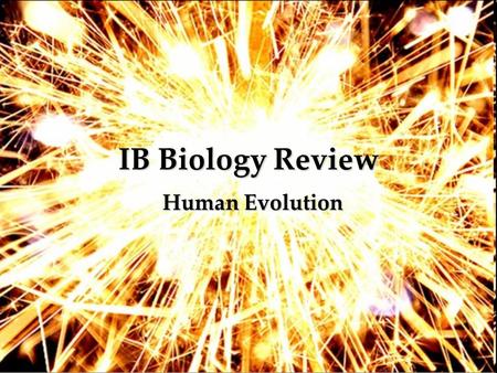 IB Biology Review Human Evolution.