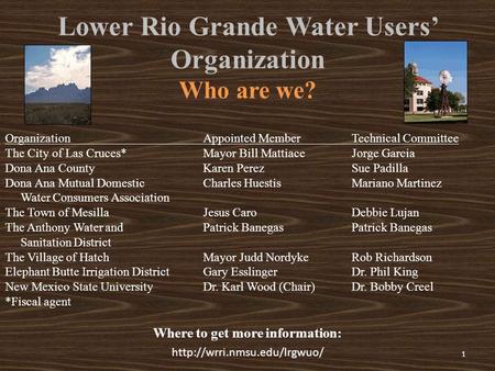 Lower Rio Grande Water Users’ Organization Who are we?  Where to get more information: 1 Organization The City of Las Cruces*