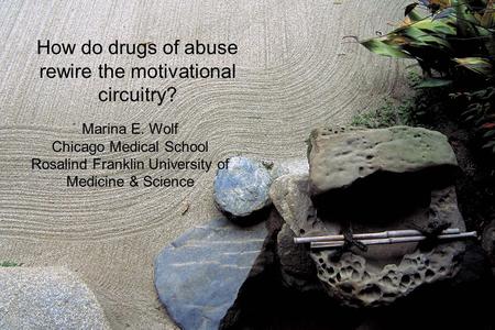 How do drugs of abuse rewire the motivational circuitry?