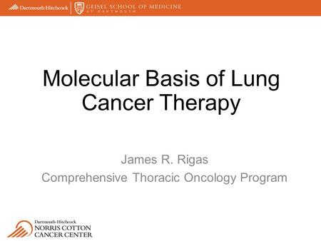 James R. Rigas Comprehensive Thoracic Oncology Program