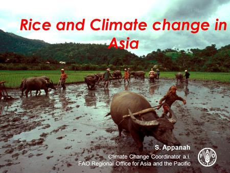 Rice and Climate change in Asia S. Appanah Climate Change Coordinator a.i. FAO Regional Office for Asia and the Pacific.