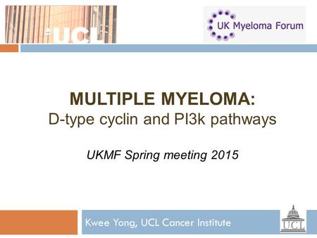 Kwee Yong, UCL Cancer Institute