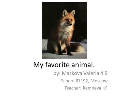 My favorite animal. by: Markova Valeria 4 B School #1192, Moscow Teacher: Remneva I.Y.