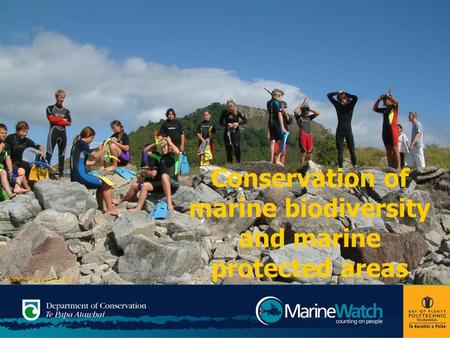 Conservation of marine biodiversity and marine protected areas Pongakawa School.