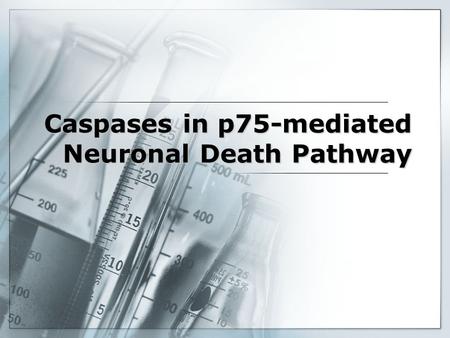 Caspases in p75-mediated Neuronal Death Pathway. Cell Death Necrosis –Response to disease –Inflammatory Response Apoptosis –Present in Developing Tissue.