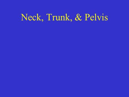 Neck, Trunk, & Pelvis.