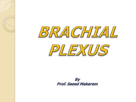 BRACHIAL PLEXUS By Prof. Saeed Makarem.