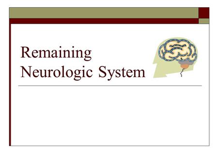Remaining Neurologic System