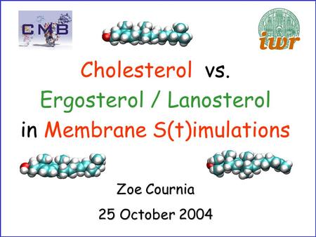 Zoe Cournia 25 October 2004 Cholesterol vs. Ergosterol / Lanosterol in Membrane S(t)imulations.