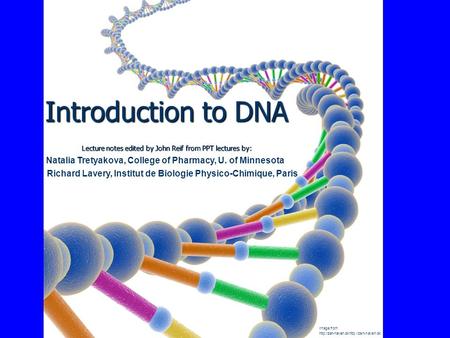 Introduction to DNA Lecture notes edited by John Reif from PPT lectures by: Image from  Natalia Tretyakova, College.